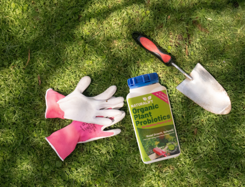 Lawn Care Made Simple with Naturalift