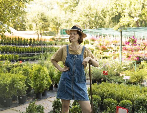 How Plant Probiotics Improve Soil Health