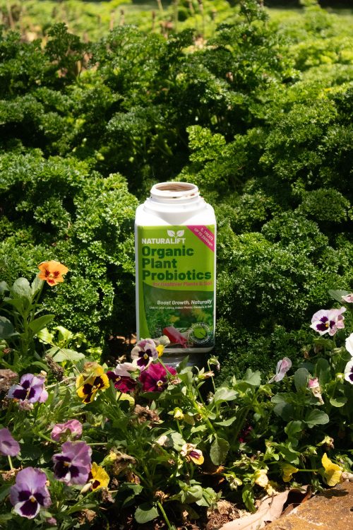Naturalift 1L Organic Plant Probiotic