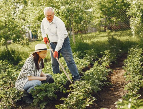 Organic Gardening Made Easy: The Power of Microbes