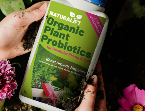 Why Naturalift Has a Short Shelf Life — and Why That Matters