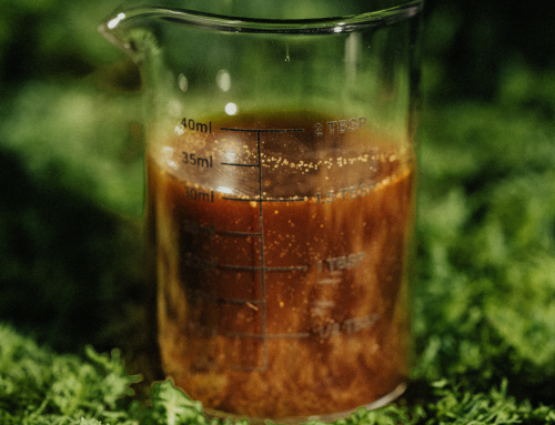 What Is a Plant Probiotic — and Why Your Garden Needs One