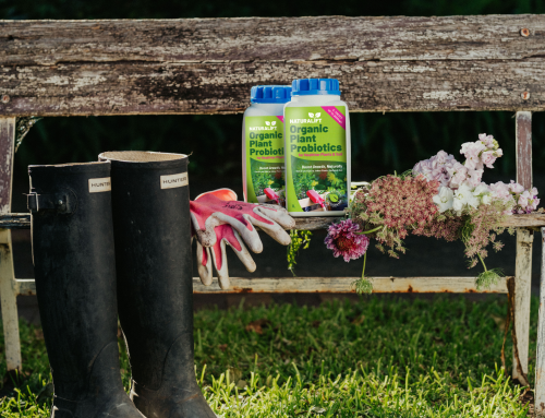 Why Isn’t My Garden Responding to Fertiliser Anymore?