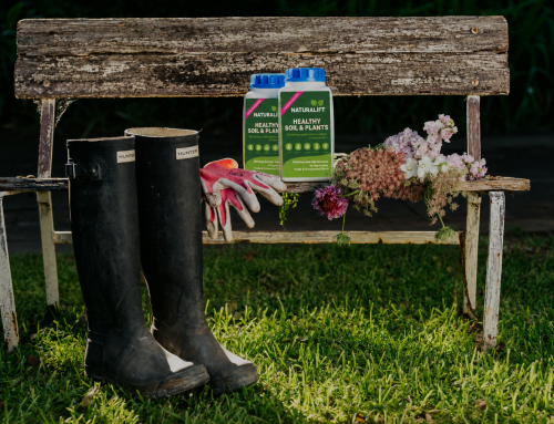Why Isn’t My Garden Responding to Fertiliser Anymore?
